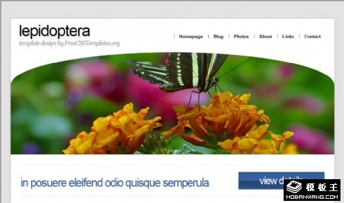 蝶恋花个人信息网页模板