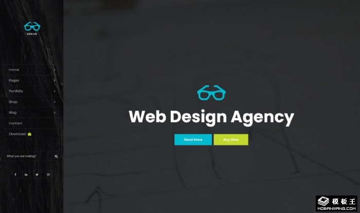 商业项目案例展示网页模板