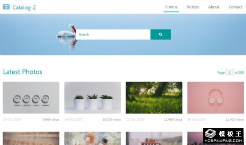 图集相片列表展示响应式网页模板