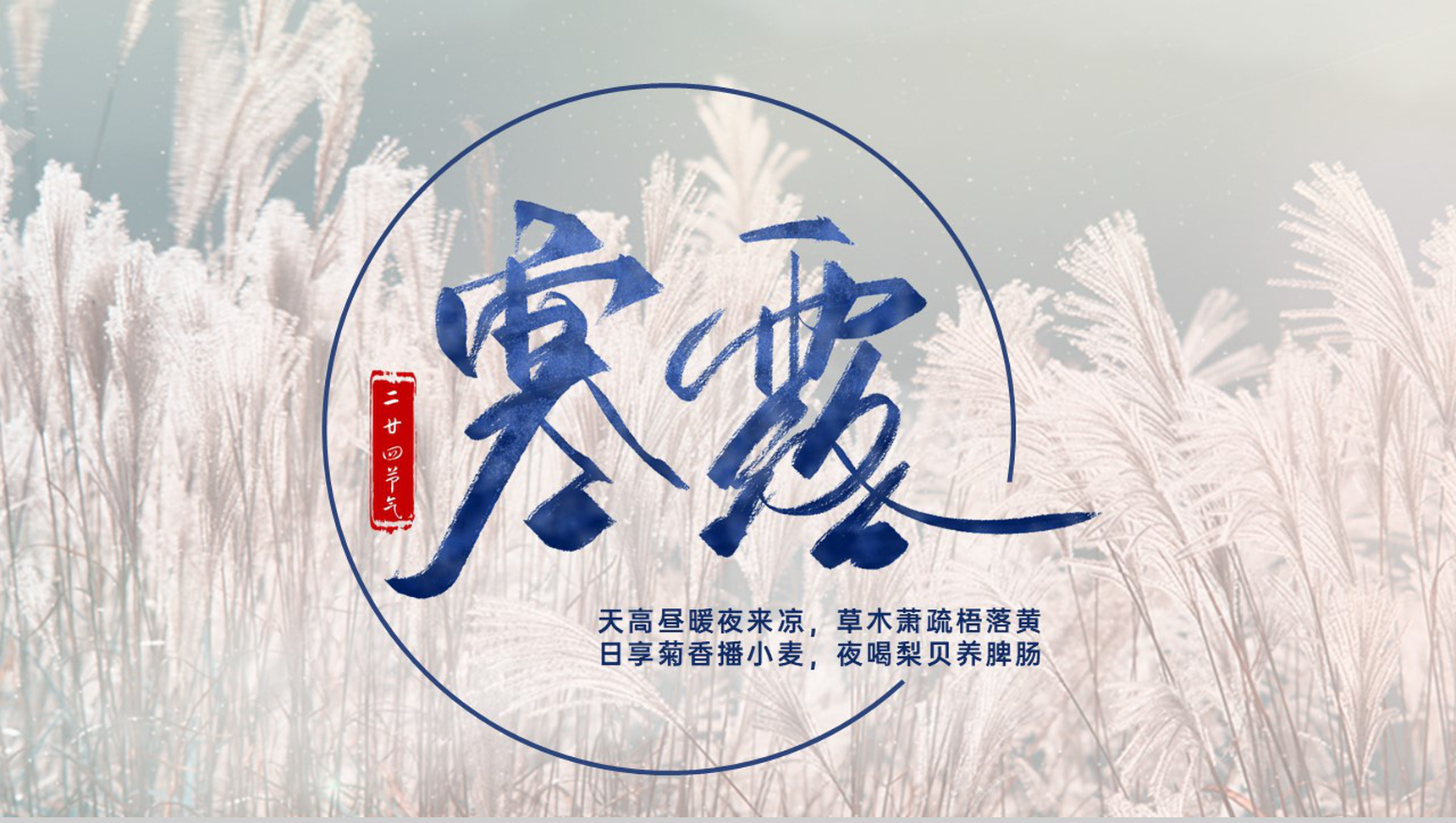 白色简约寒露传统节气主题工作总结汇报PPT模板