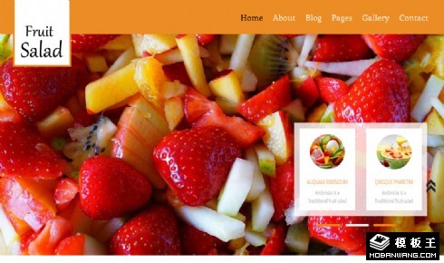 水果沙拉餐厅介绍响应式网站模板