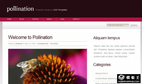 蜜蜂授粉BLOG网页模板