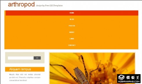 节肢动物主题日志网页模板