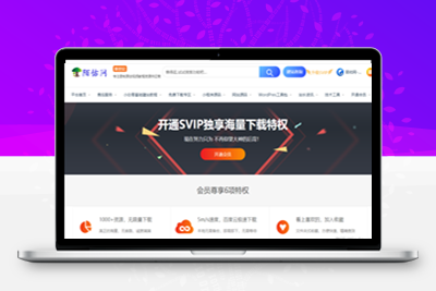 RIPRO主题美化-开通VIP介绍页面升级VIP引导页 WordPress主题美化