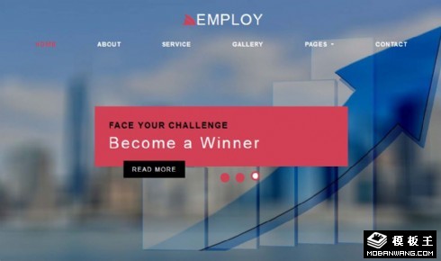 数据分析服务公司响应式网页模板