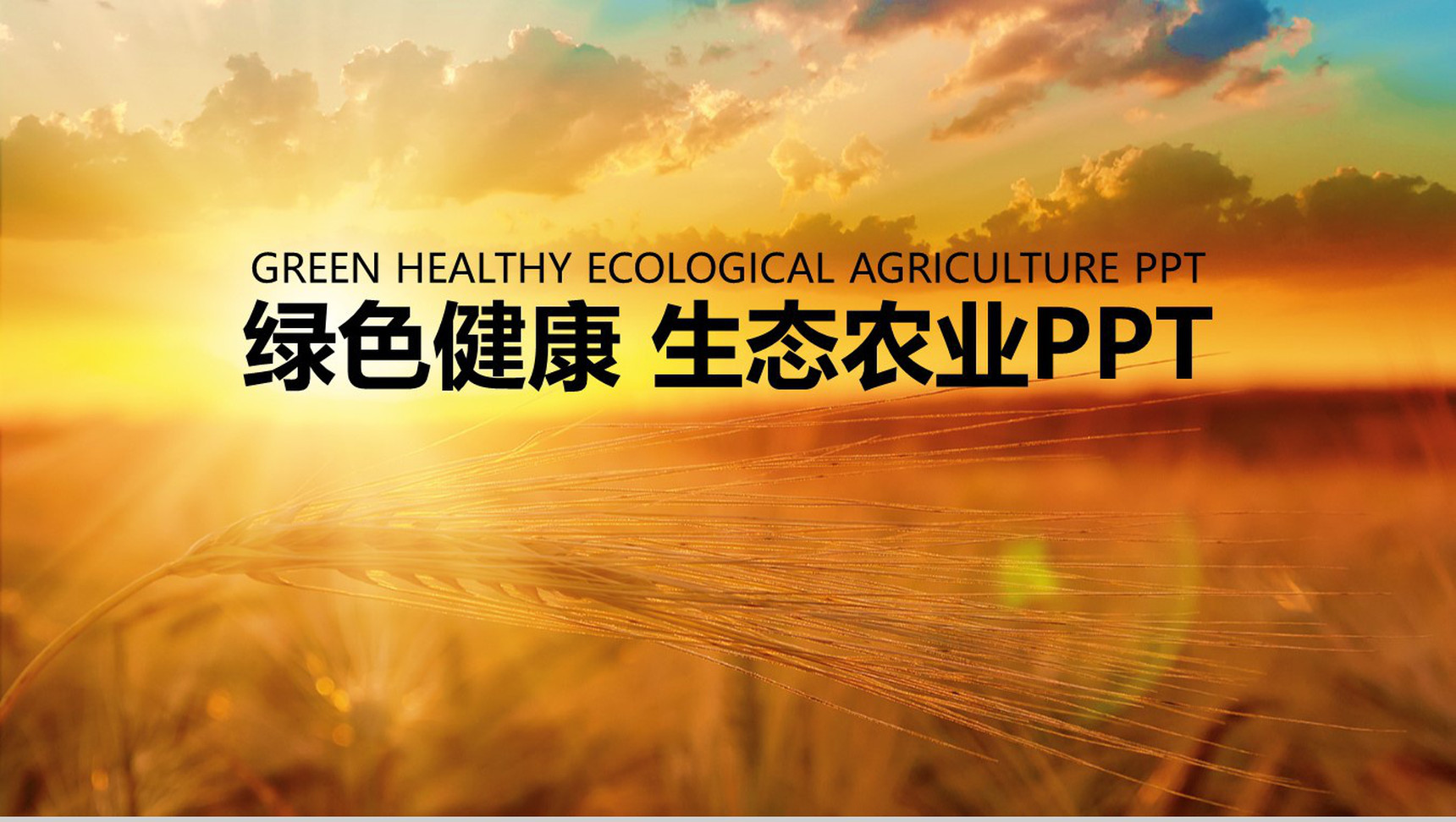 绿色健康生态农业展示PPT模板