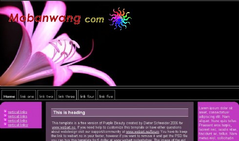 兰花主题信息介绍网页模板