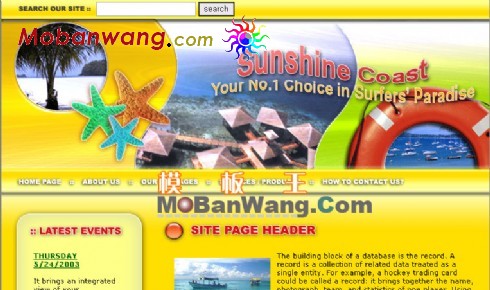 阳光海滩旅行网页模板