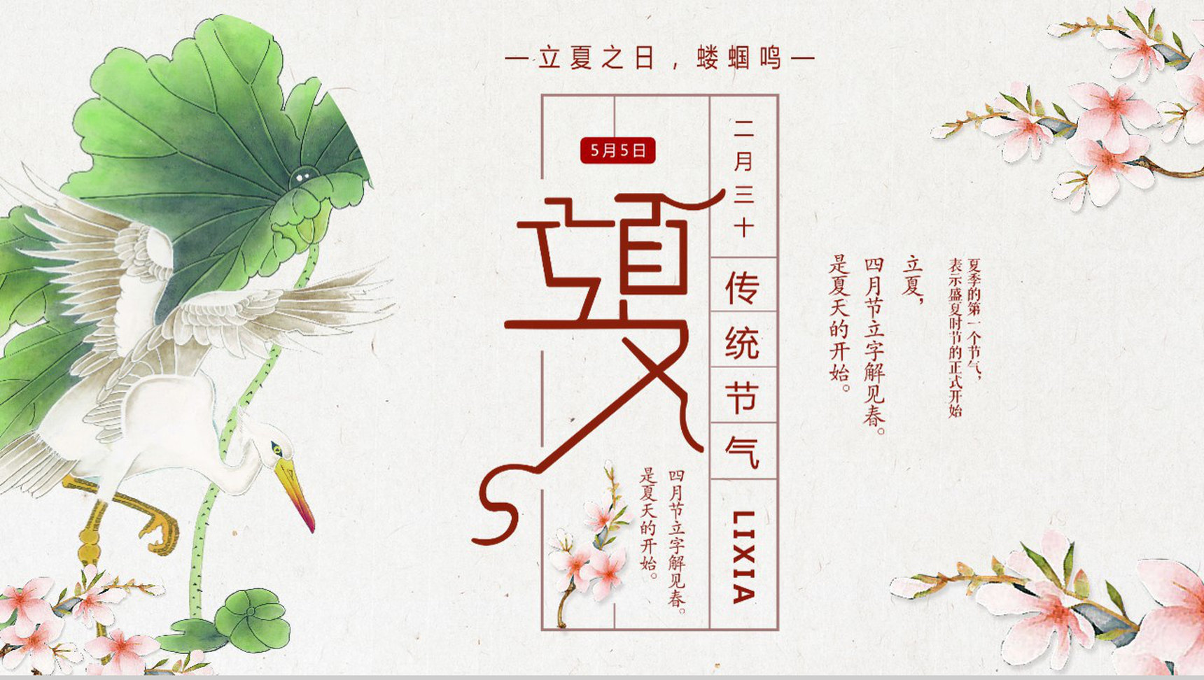 传统节气立夏节气教育讲座PPT模板