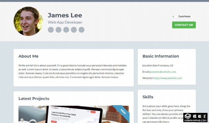 开发者技术资料日志网页模板