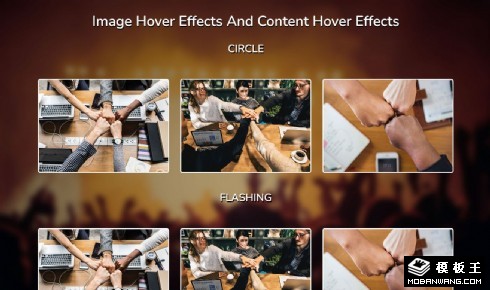 图像与内容悬停效果响应式网页模板