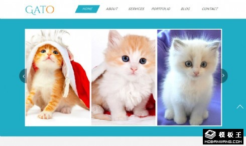 小猫宠物乐园响应式网页模板