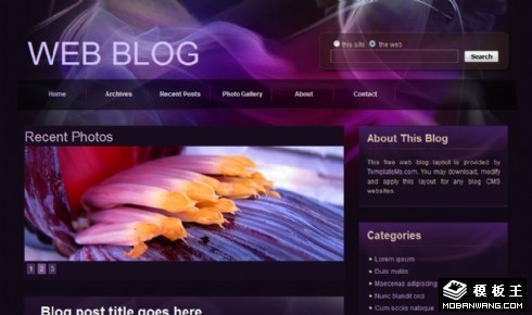 梦幻紫色BLOG网页模板