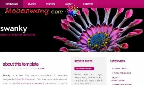 紫红色BLOG网页模板