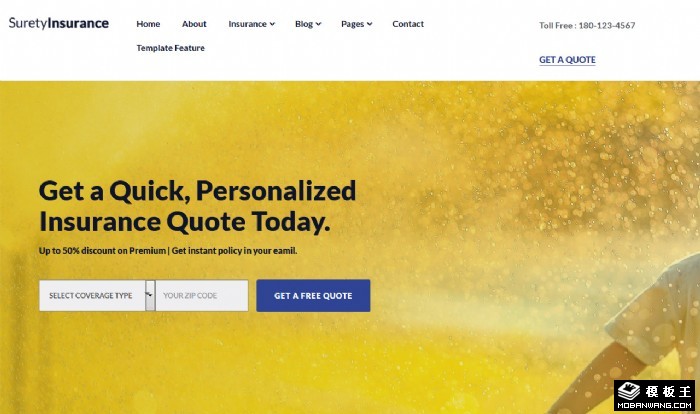 家庭人寿健康保险网站模板