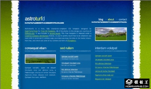 草原绿洲信息网页模板