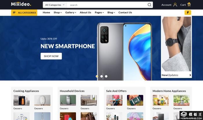 精美时尚综合商城网站模板