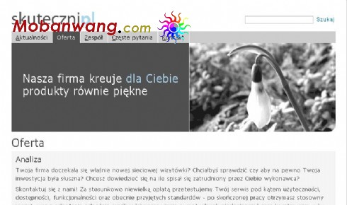 简单灰色企业网站模板