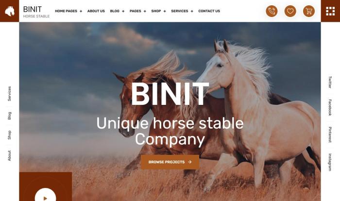 马厩商务运营公司官网模板