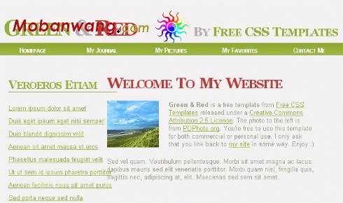 绿色红标题信息网页模板