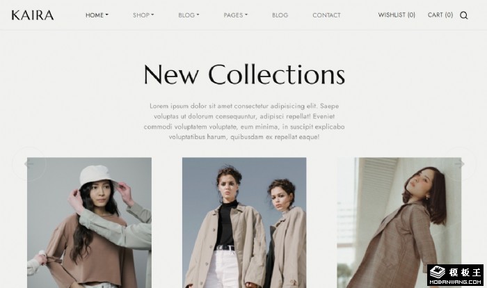 简约时装特卖商城网站模板