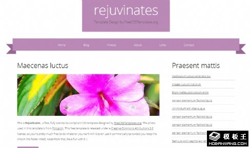 美容焕颜信息网页模板