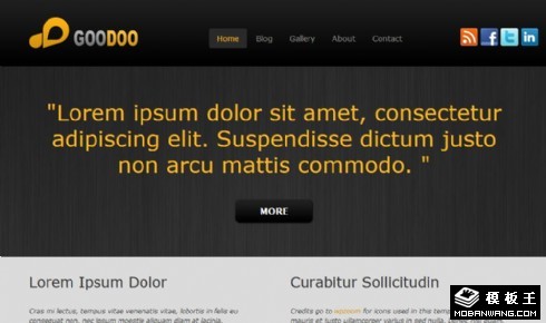 灰黑技术服务展示网页模板