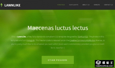 绿色草坪信息网页模板