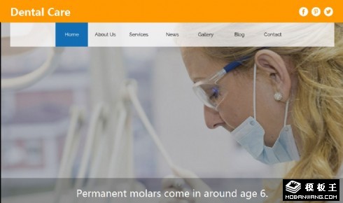 牙科医疗护理响应式网页模板