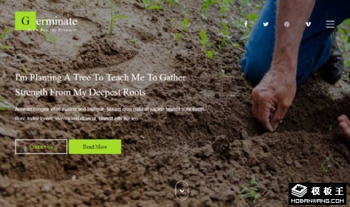 果蔬种子种植响应式网页模板