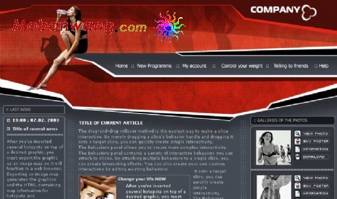 模特信息资料网页模板