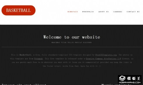 篮球运动信息网页模板