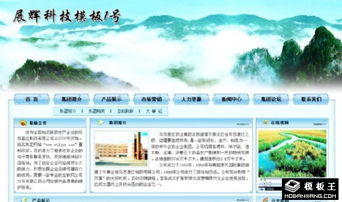 山水风格医药企业网页模板