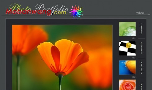 灰色相册FLASH网页模板