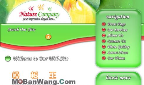 欧美卡通风格个人主页模板