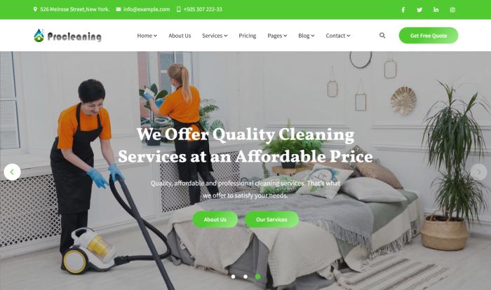 住宅与商业清洁服务网站模板