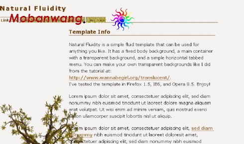 自然变化信息网页模板