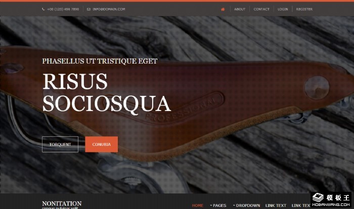 经典时光资讯网页模板