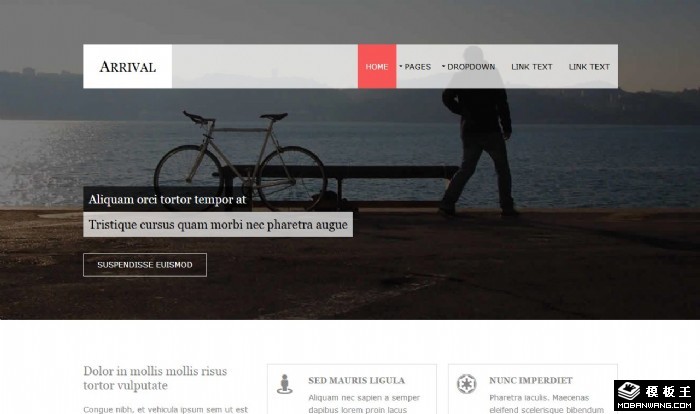 孤旅信息动态网页模板