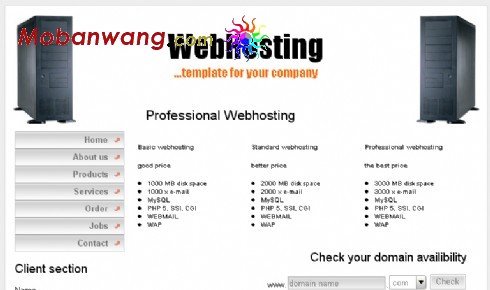 专业服务器托管企业网站模板