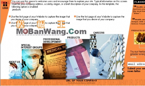 欧美医药销售网站模板