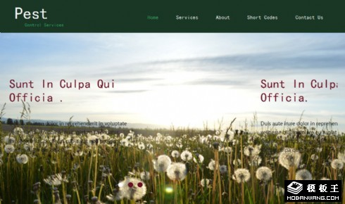 害虫防治响应式网页模板