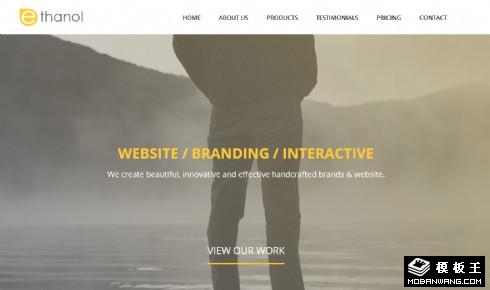 个性设计师团队响应式网页模板