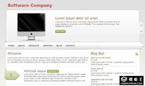 软件开发动态网页模板