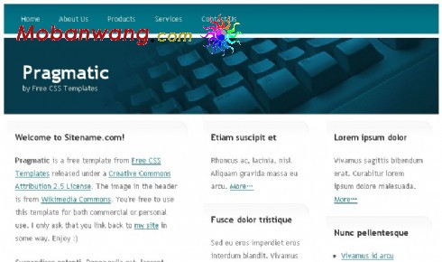 实用软件公司网页模板