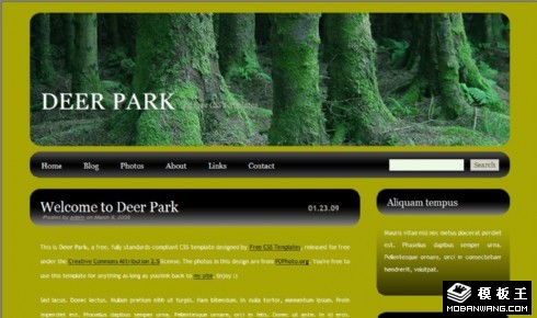 森林主题BLOG网页模板
