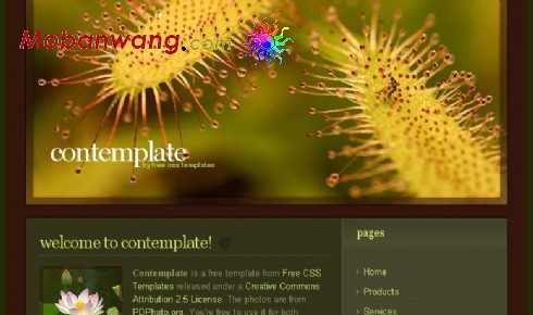 海底生物主题网页模板