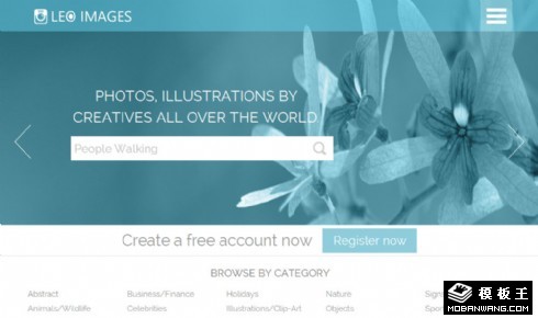 深宝石绿图像信息网页模板