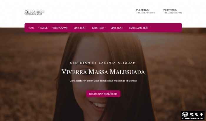 简约服务信息动态网页模板