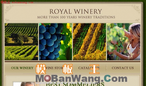 欧美葡萄园相关介绍模板